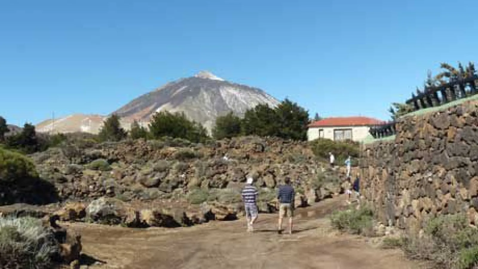 La isla de tenerife, camino al volcán