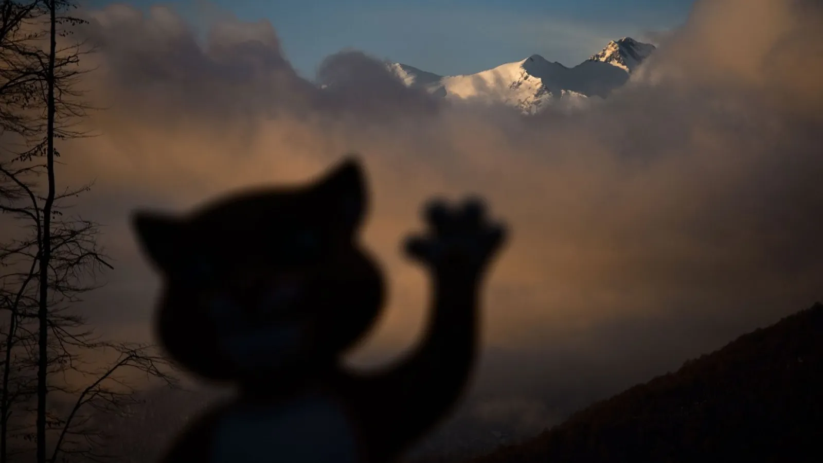 The most unusual pictures from Sochi Olympics